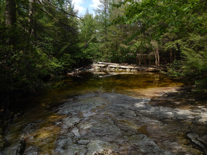 ulster-county-swimming-holes